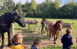 Visite à la ferme