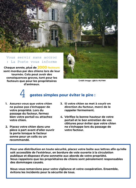 prévention morsures de chien à l'égard des facteurs