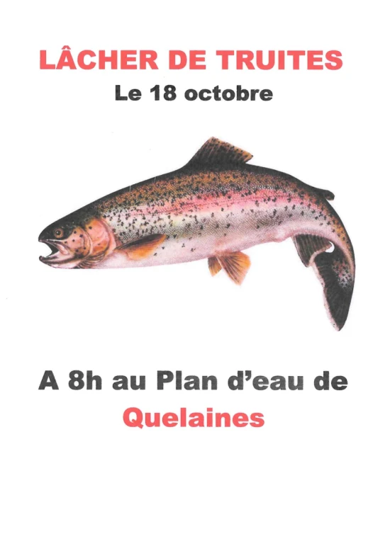 lâcher truites