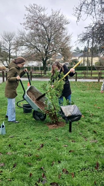 Arbre des naissances 2024 inauguré le samedi 29 novembre 2025