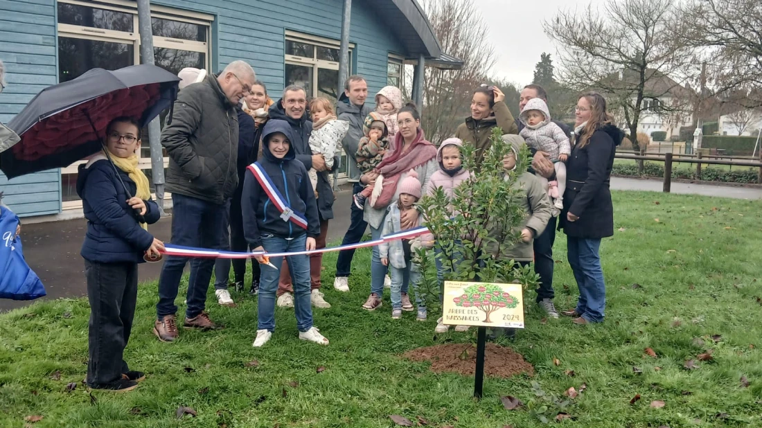 Arbre des naissances 2024 inaugur&eacute; le samedi 29 novembre 2025